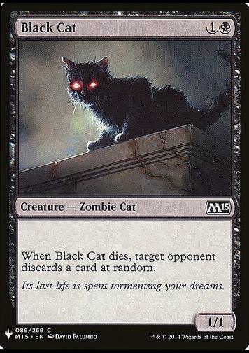 Black Cat (Schwarze Katze)